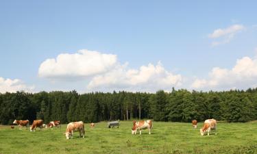 Hotely s parkováním v destinaci Großhartpenning