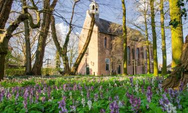 Hoteles en Diepenveen