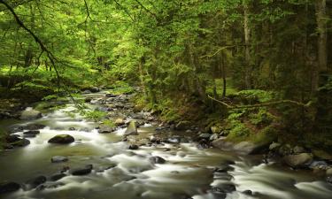 Viešbučiai mieste East Ellijay