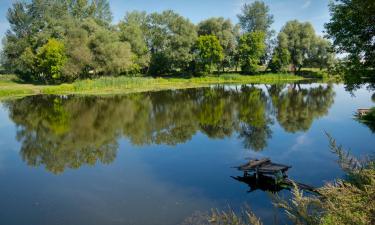 Готелі, де можна проживати з хатніми тваринами у Сумах