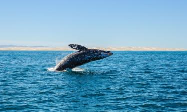 Hotéis em Guerrero Negro