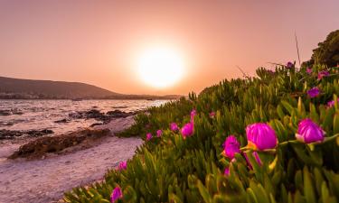 Hoteles en Porto Rafti