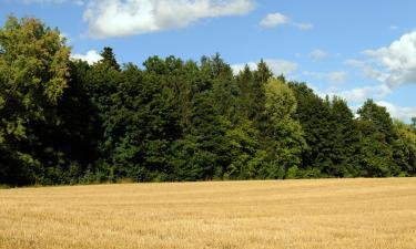 Vakantiewoningen aan het strand in Halfing