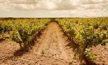 Hôtels à Vilafranca del Penedès