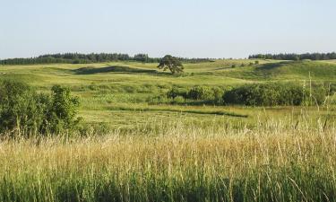 Atostogų būstai mieste Powałczyn