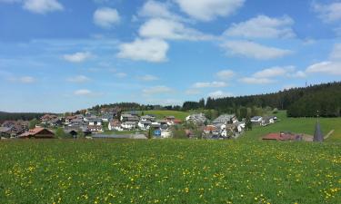 Hotels mit Parkplatz in Neukirch