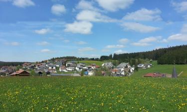 Vacation Rentals in Neukirch