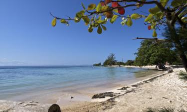 Hoteles en Utila