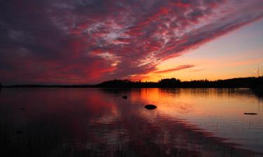 Atostogų nameliai mieste Harkala