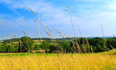 Ferieboliger i Sort-en-Chalosse