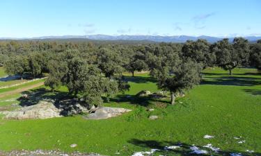 Husdjursvänliga hotell i Cardeña