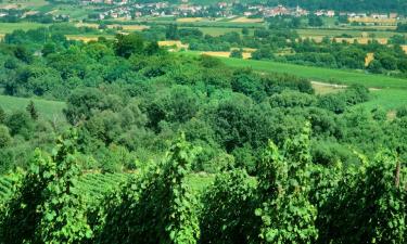 Hoteluri cu parcare în Hambach