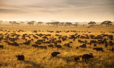 Lodges in Robanda