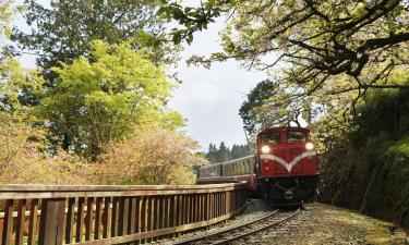 Hoteles en Alishan