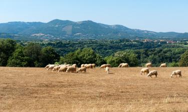 Hotels amb aparcament a Poggio Murella