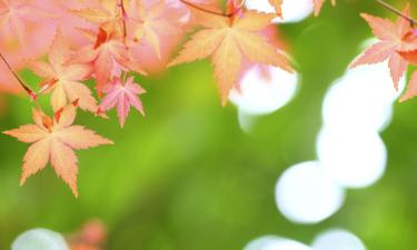 Hotel con parcheggio a Kashiwa