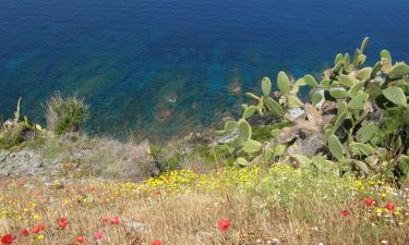 Hoteluri în Santa-Lucia-di-Moriani