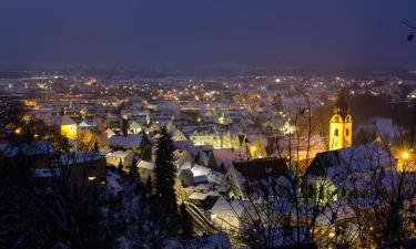 Lejligheder i Schwandorf