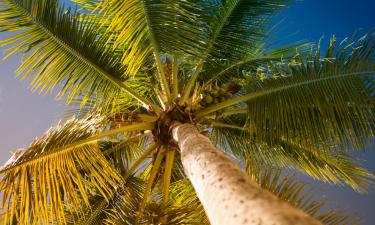 Holiday Homes in Little Torch Key