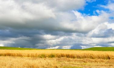 Holiday Rentals in Stoneykirk