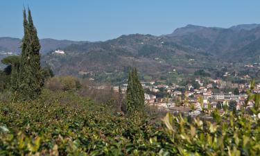 Locations de vacances à Ponte a Moriano