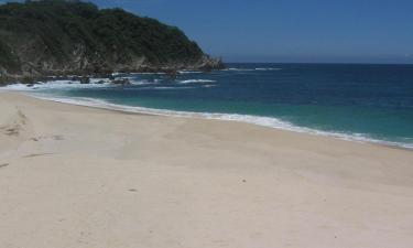 Pet-Friendly Hotels in Cuatunalco