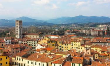 Serviced apartments in Lucca
