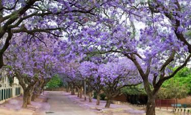 Self Catering Accommodation in South Grafton