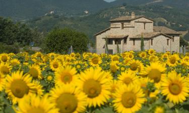 Hotely s parkováním v destinaci San Vitale