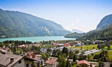 Hotels in Molveno