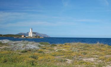 Hôtels à Olbia