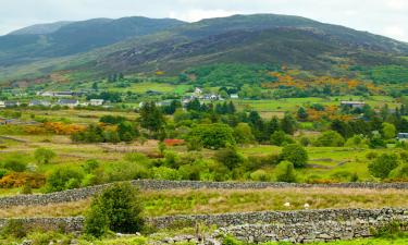 Bed and breakfasts en Ballybofey