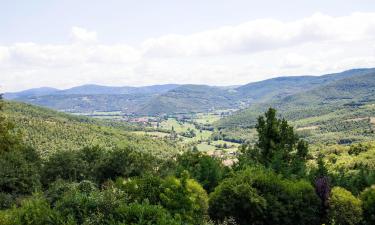 Holiday Rentals in Mercatale