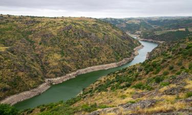 Hoteles económicos en Hinojosa de Duero