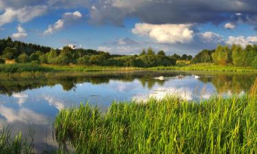 Pet-Friendly Hotels in Samociążek