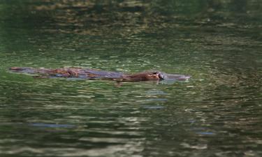 Parkolóval rendelkező hotelek Malandában