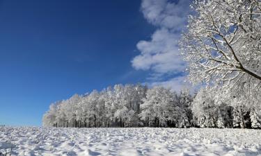 Ski Resorts in Geising