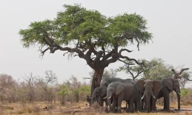 Hotéis em Okahandja