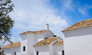 Villas en Alhaurín de la Torre