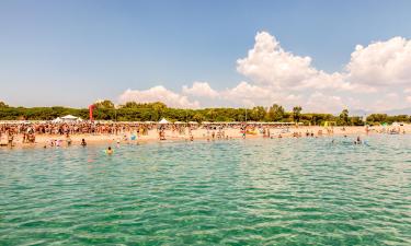 Διαμερίσματα σε Marina di Schiavonea