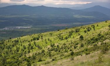 Хотели, които приемат домашни любимци, в Карлово