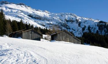 Ferienwohnungen in Bolsterlang