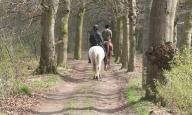 Chaty v destinácii Fairburn