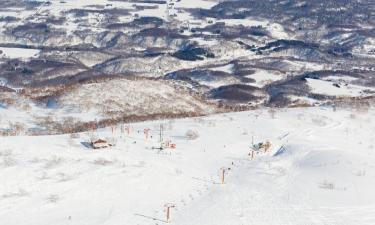 Cottages in Niseko