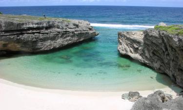 Hoteles baratos en Coromandel