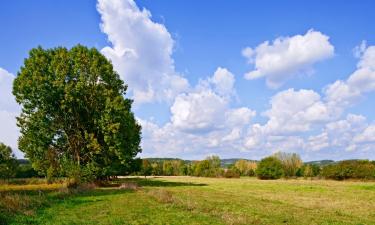 Hotéis em Saint-Julien-aux-Bois