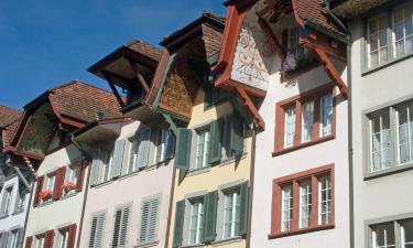 Hôtels acceptant les animaux domestiques à Aarau