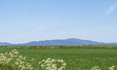 Hüttenrode şehrindeki otoparklar