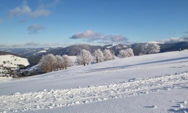 Hoteles en Todtnau