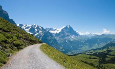 Hoteles en Meiringen